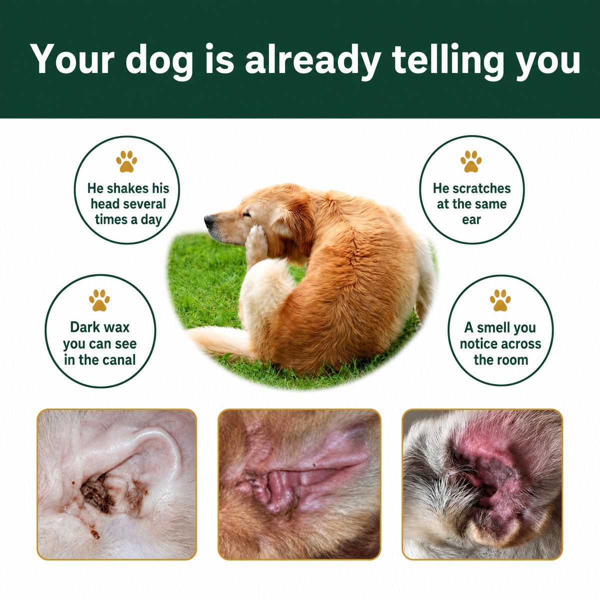 Ear Cleaner for Dogs & Cats.
