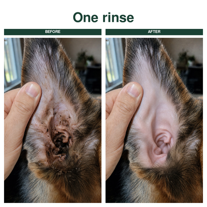 Ear Cleaner for Dogs & Cats.