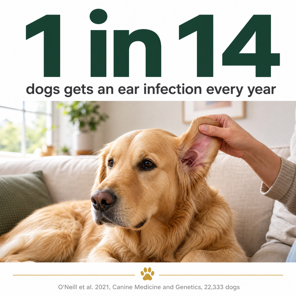 Ear Cleaner for Dogs & Cats.