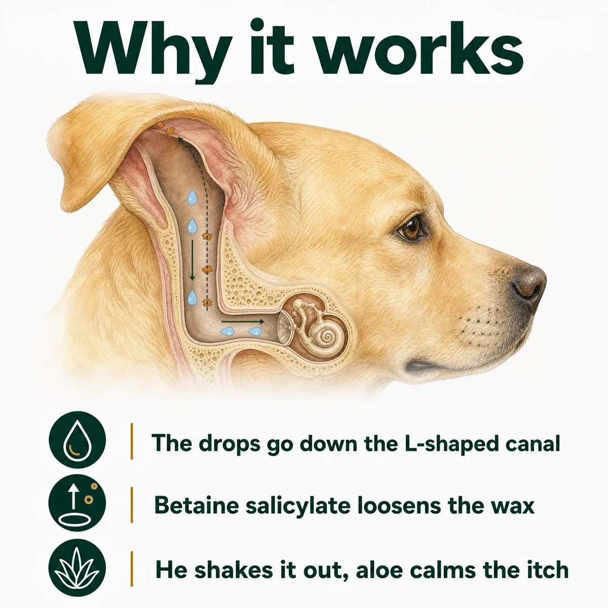 Ear Cleaner for Dogs & Cats.