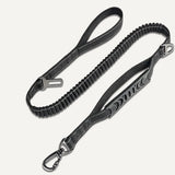 Bungee Leash