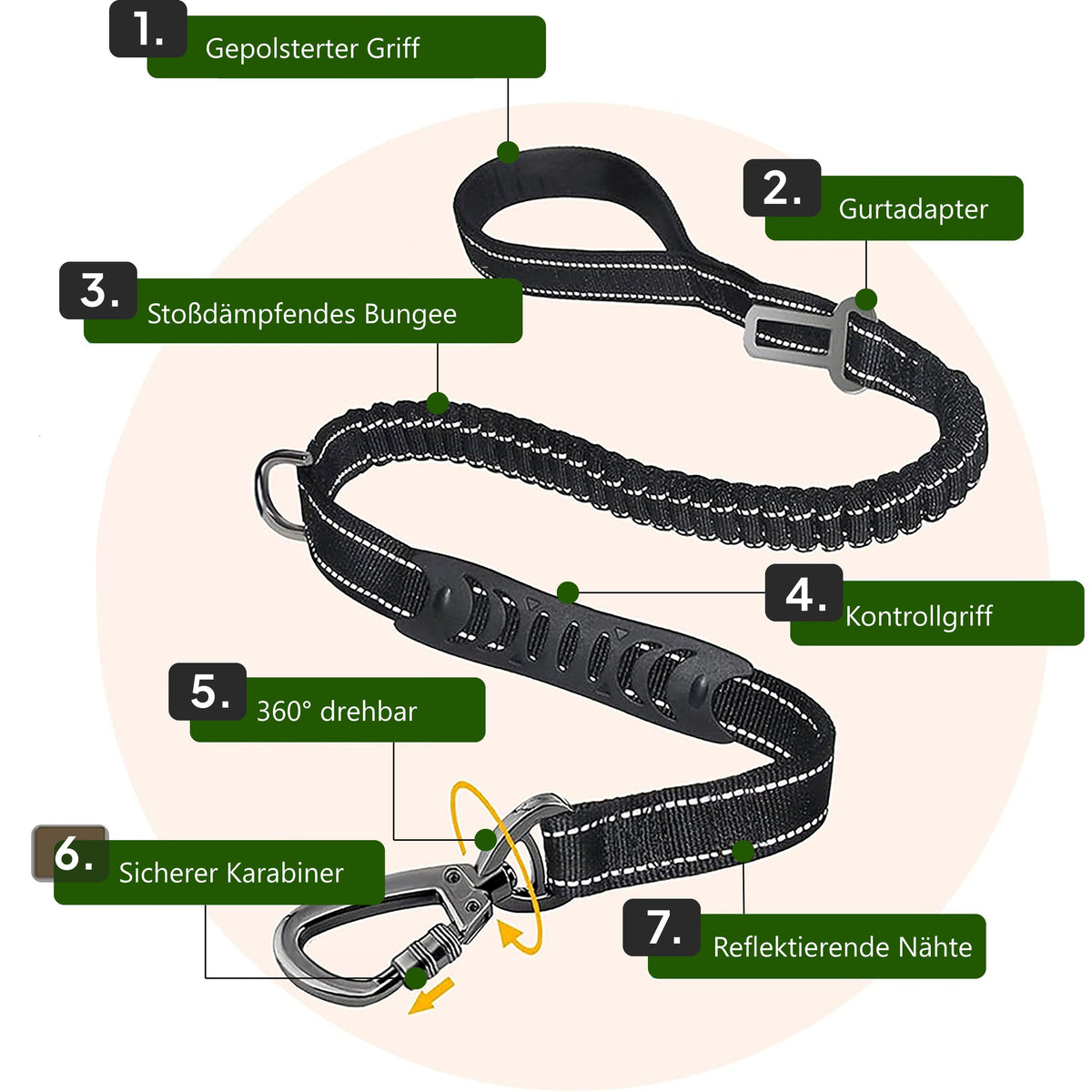 Bungee Leash