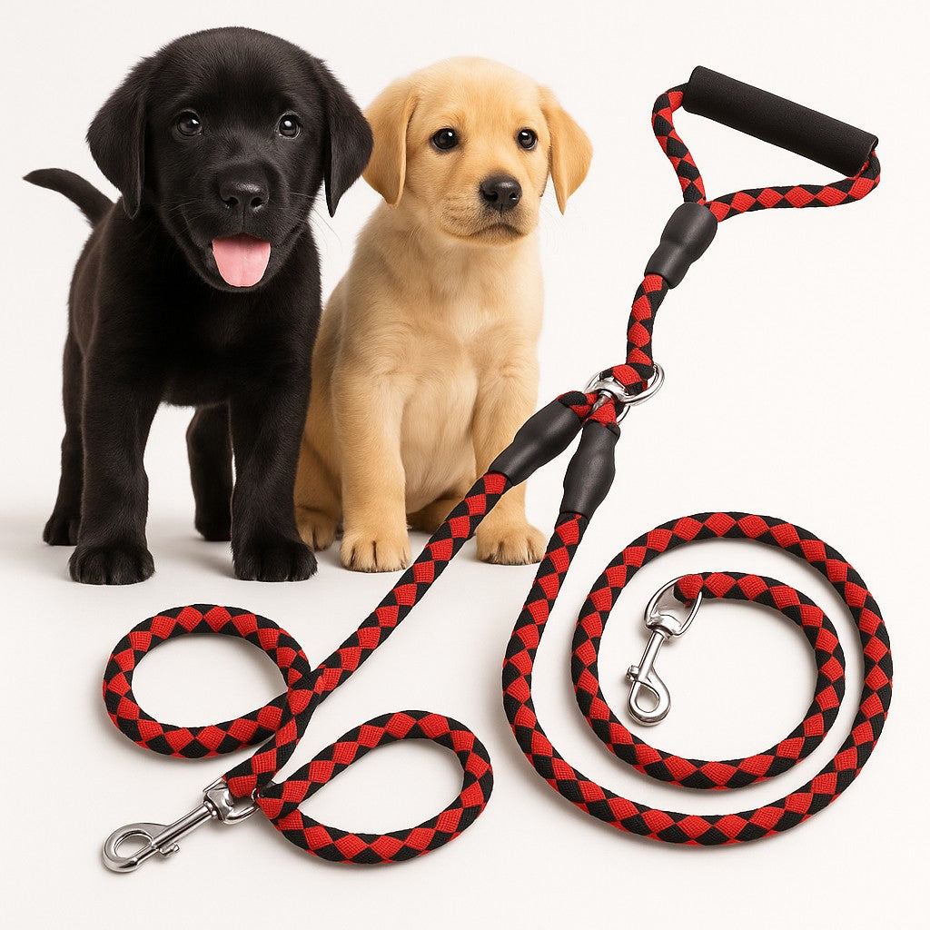 Double Leash – Two Dogs, One Leash