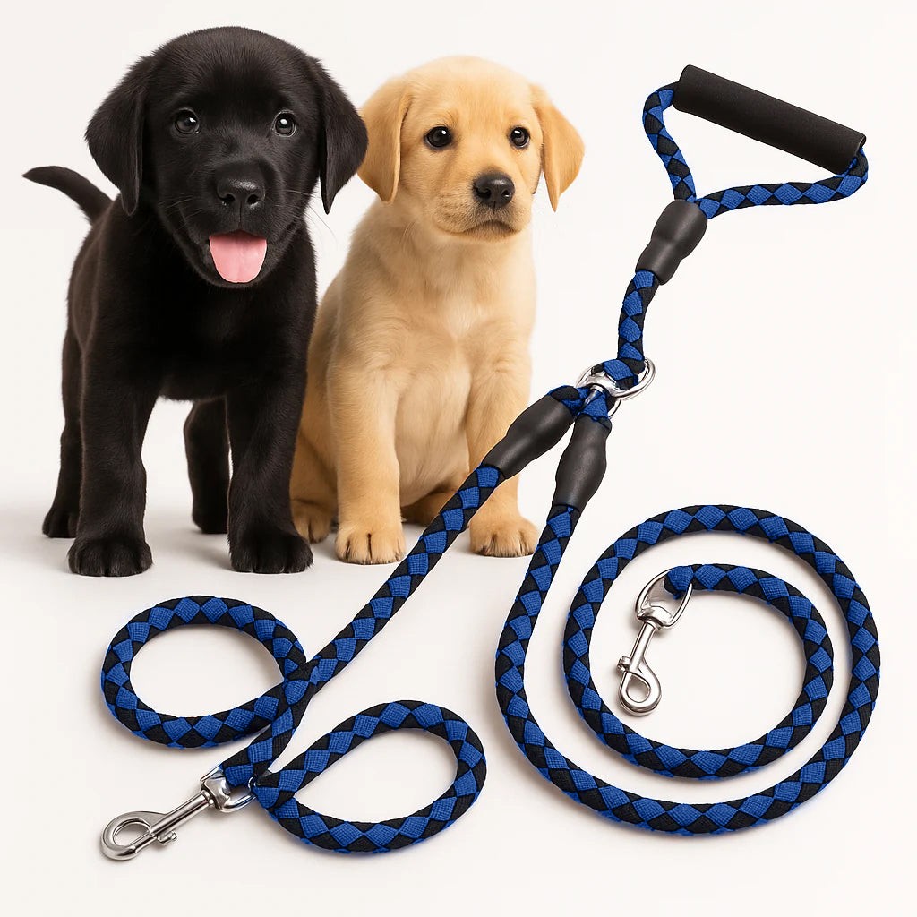 Double Leash – Two Dogs, One Leash