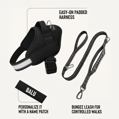 Essentials Set