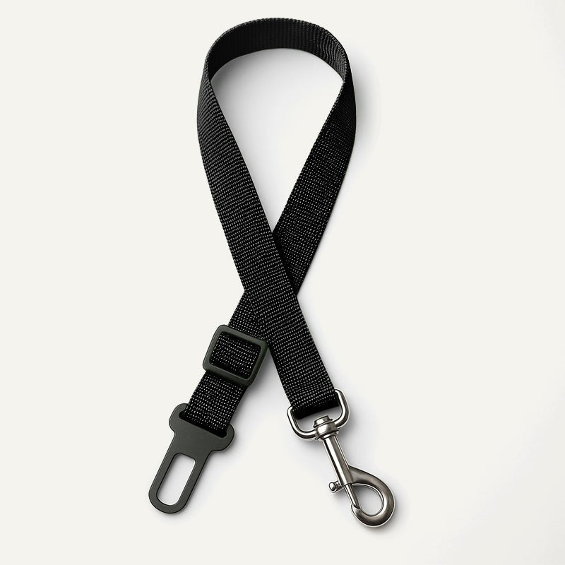 Dog Seat Belt