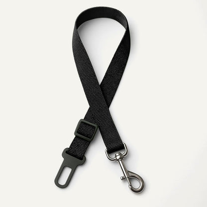 Dog Seat Belt