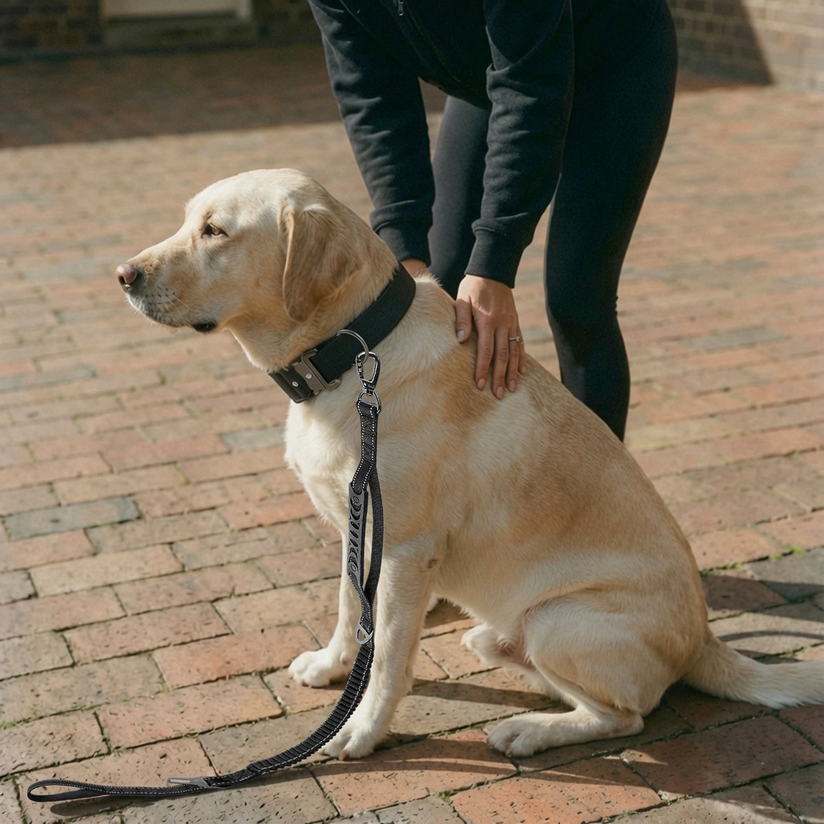 Tactical Dog Collar