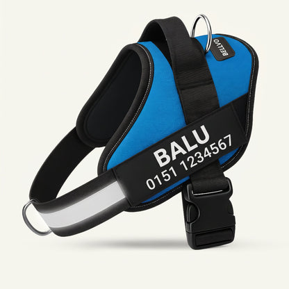 Personalized No-Pull Harness