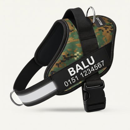 Personalized No-Pull Harness