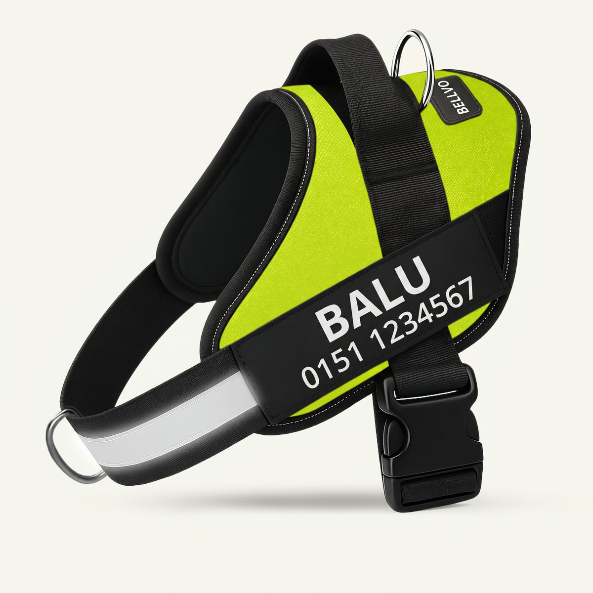 Personalized No-Pull Harness