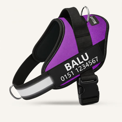 Personalized No-Pull Harness