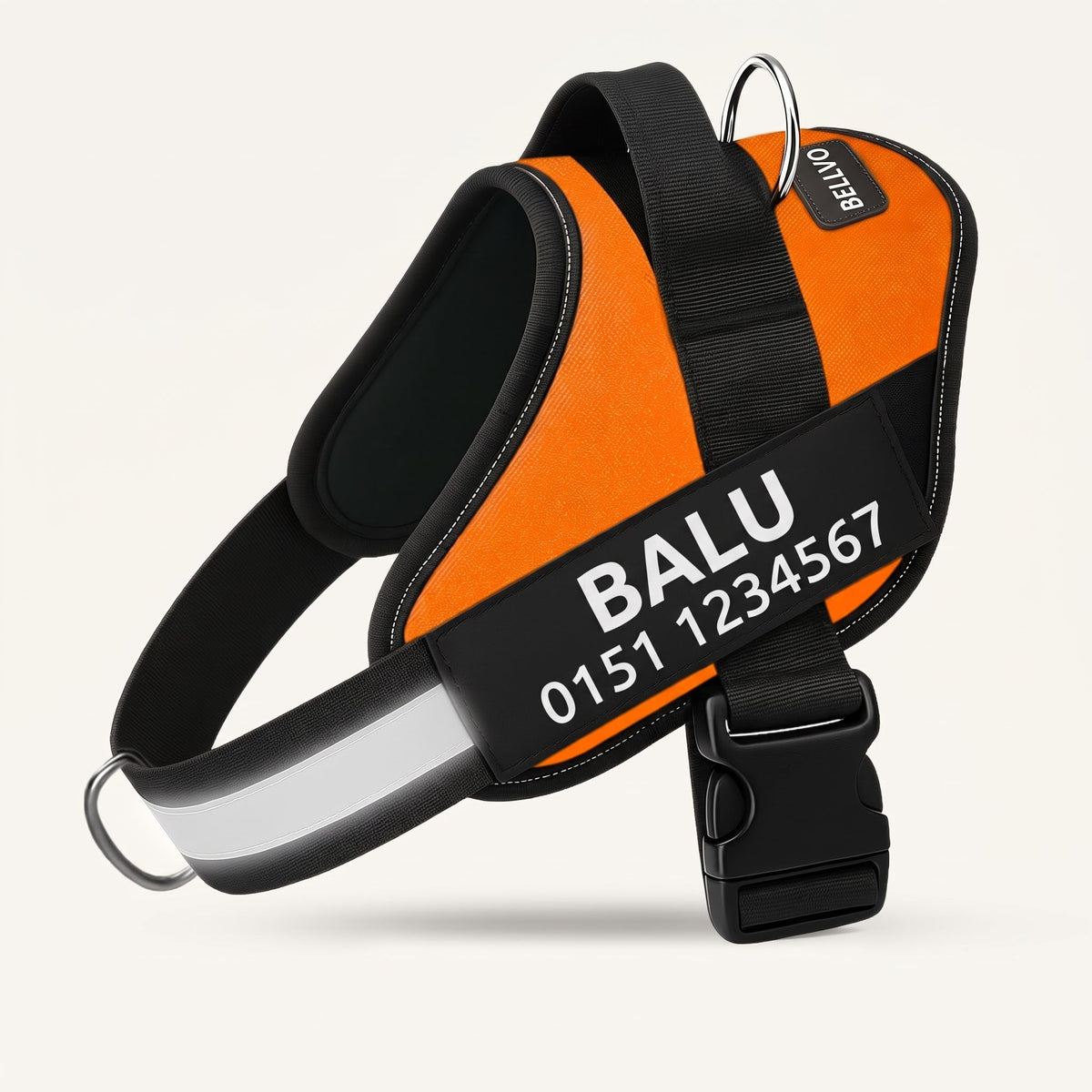Personalized No-Pull Harness