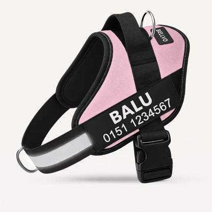 Personalized No-Pull Harness