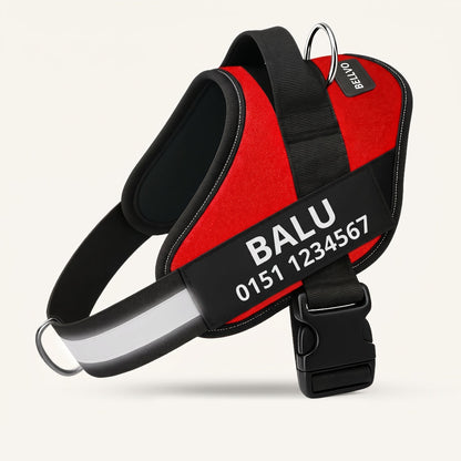 Personalized No-Pull Harness