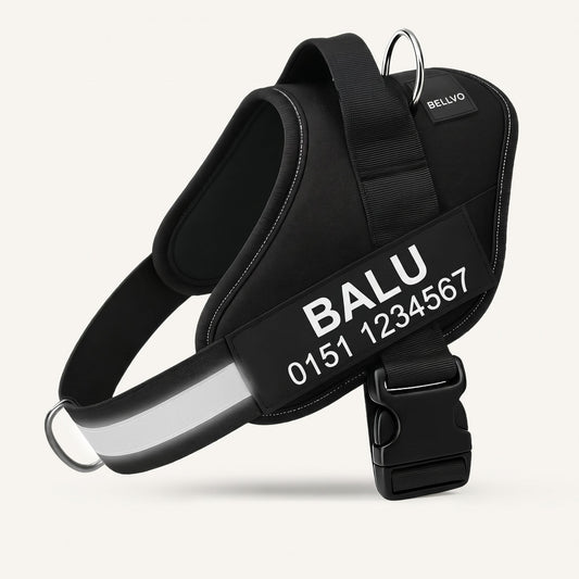 Personalized No-Pull Harness