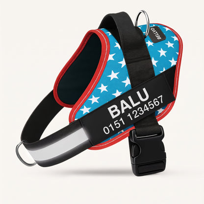 Personalized No-Pull Harness