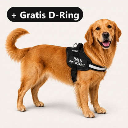 Personalized No-Pull Harness