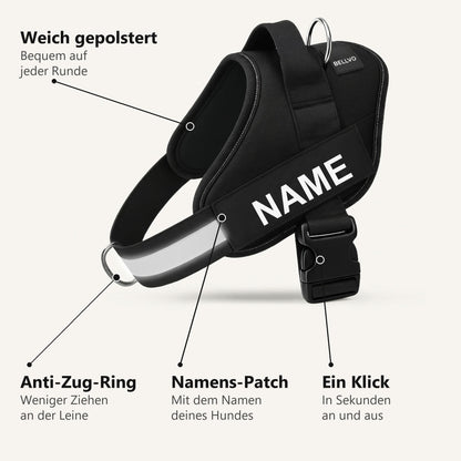 Personalized No-Pull Harness